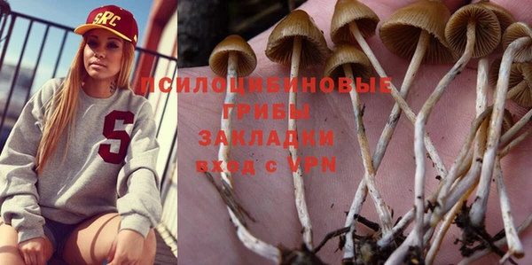 PSILOCYBIN Балахна